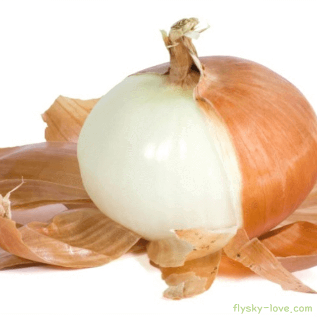 혈관건강에 효과적인 양파&#44; 양파껍질