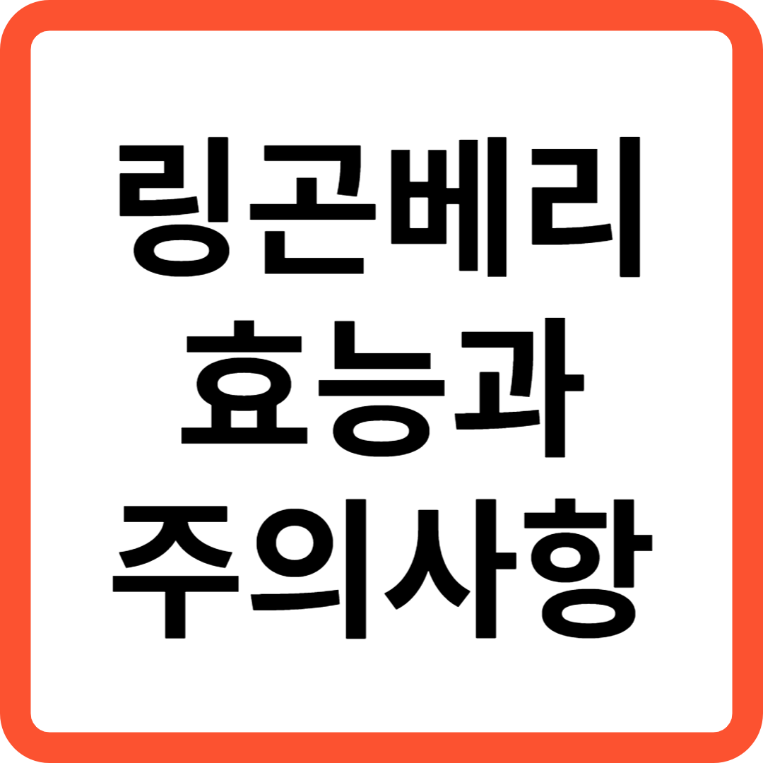 링곤베리 효능과 주의사항