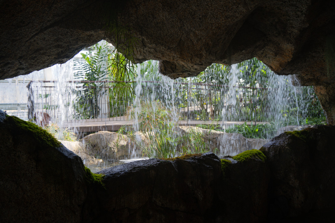 영흥 수목원 폭포