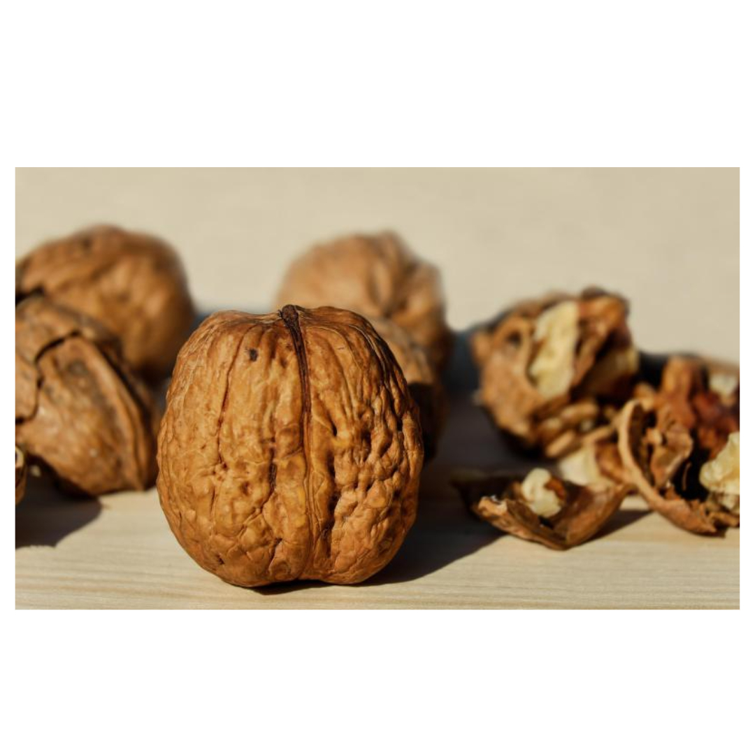 코엔자임 큐텐과 관련된 사진입니다.