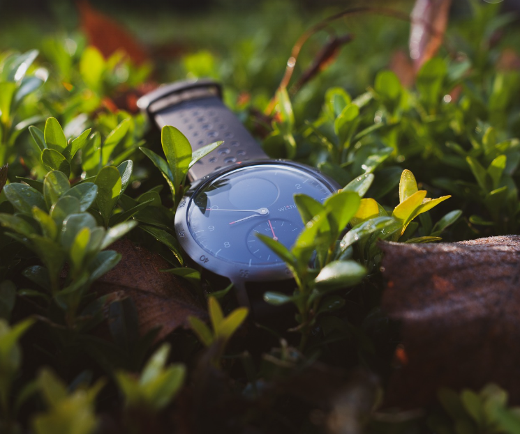 MZ세대 핫한 건강습관 (헬스케어 앱, 웨어러블, 챌린지)