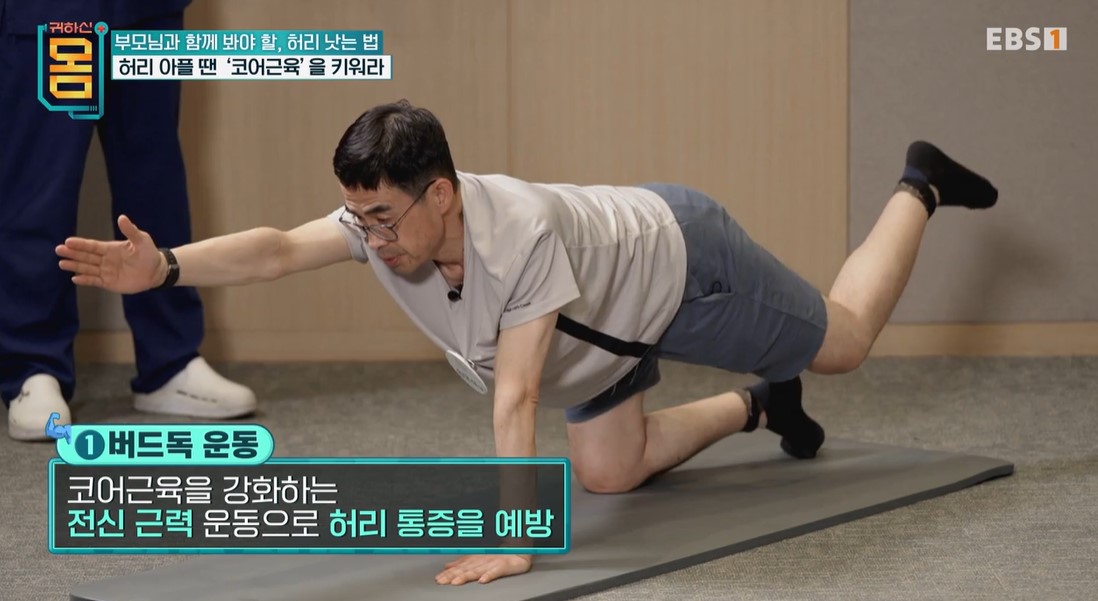 코어근육운동