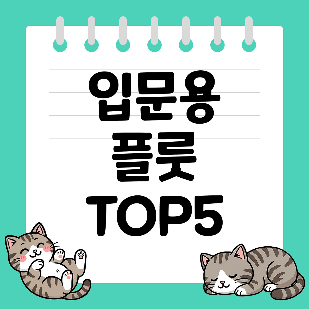 플룻 독학 입문자를 위한 연습용 플룻 추천 순위 TOP5