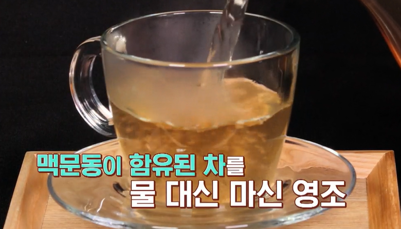 맥문동 효능