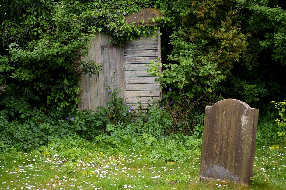 Rustic wooden door with weathered tombstone, framed by lush, overgrown foliage.