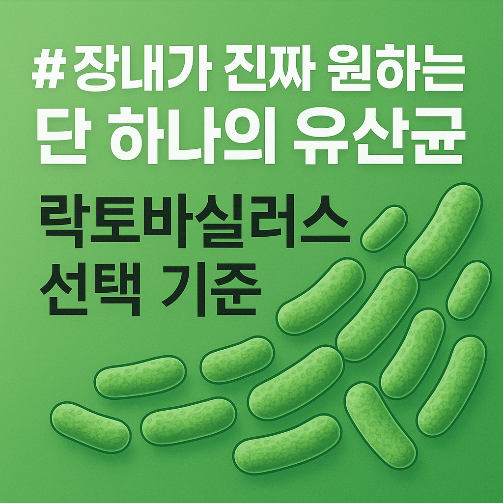 장내 단 하나의 유산균, 락토바실러스 선택 기준 관련 사진