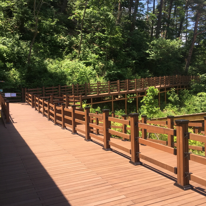 국립대관령치유의숲