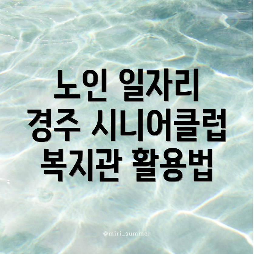 경주시 시동 노인 중장년 일자리