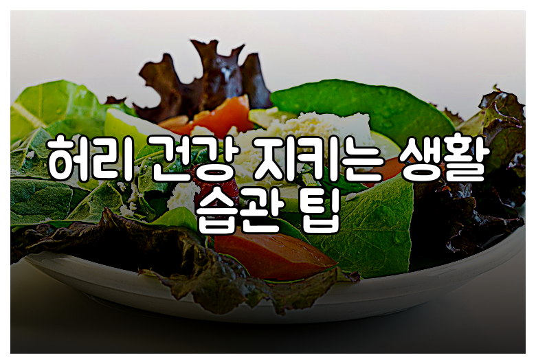 허리 건강 지키는 생활 습관 팁