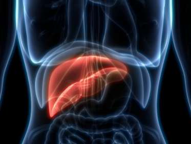 간암 초기 증상