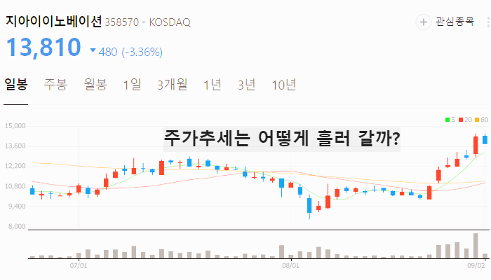위고비 관련주 대장주 TOP10