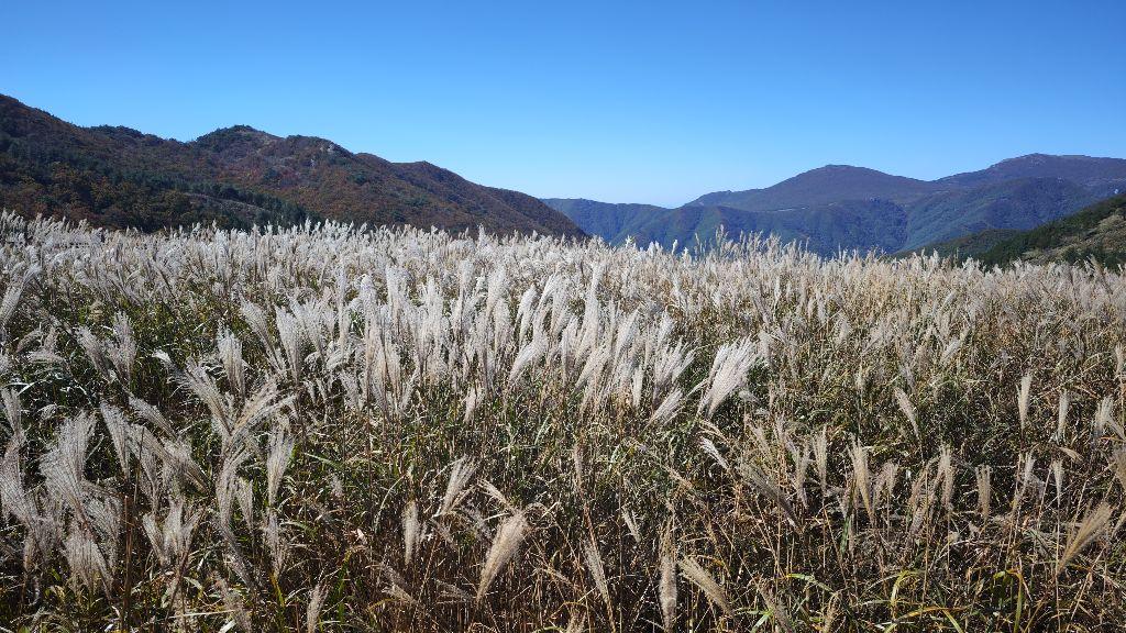 울산 간월재 등산코스