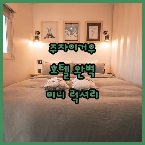 주자이거우 여행객 필독 미니 라이트 ..