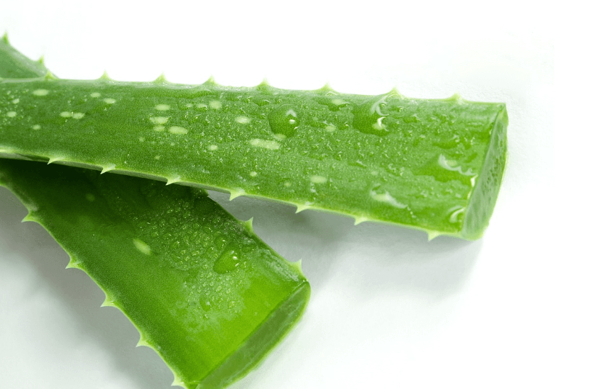 알로에