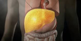 지방간 없애는 방법