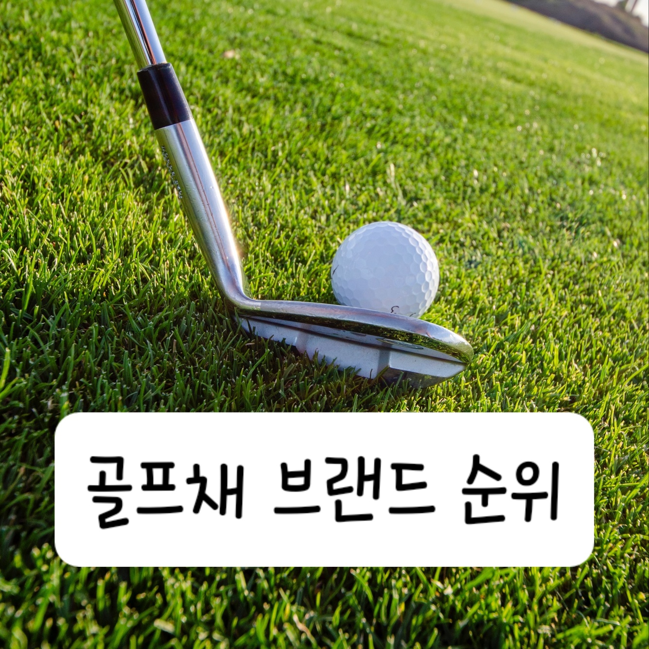 골프채 브랜드 순위