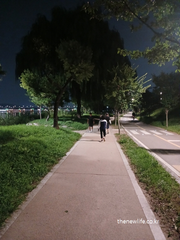 강변 산책로에서 빠른 걸음으로 걷는 사람들 &ndash; 파워워킹 속도와 리듬