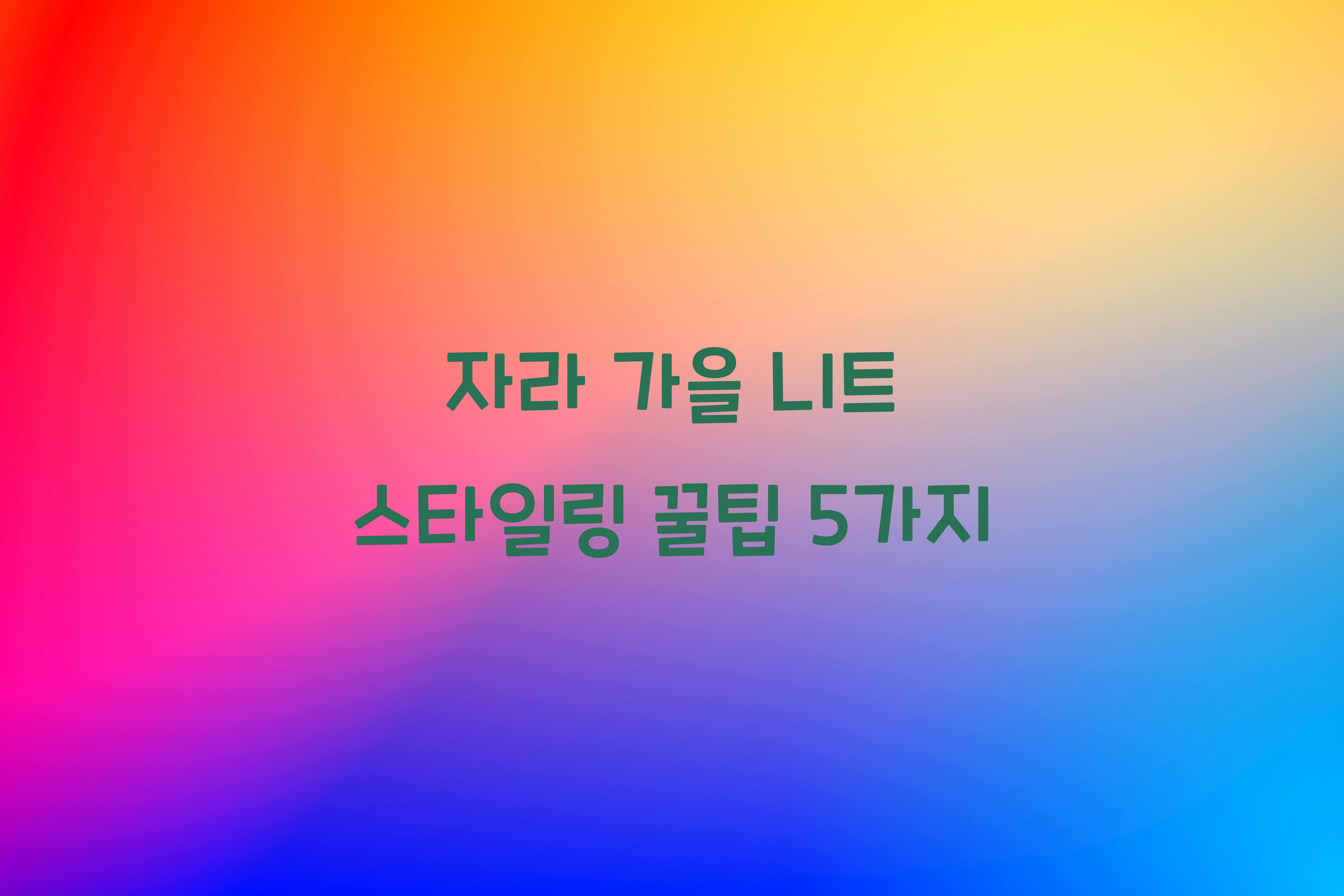 자라 가을 니트 스타일링