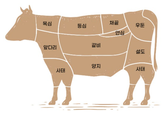 소고기 부위 추천
