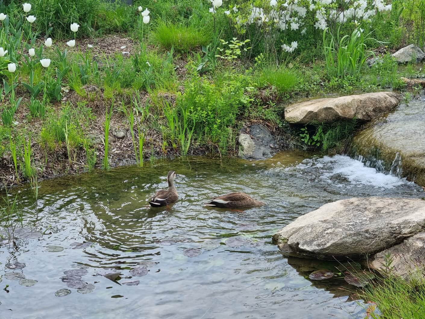 서울식물원 입장료