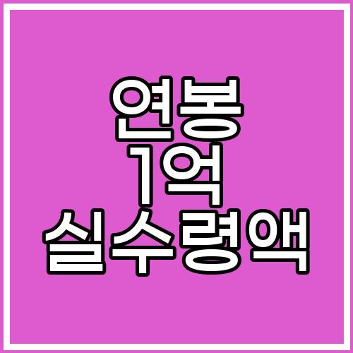 연봉 1억 실수령액