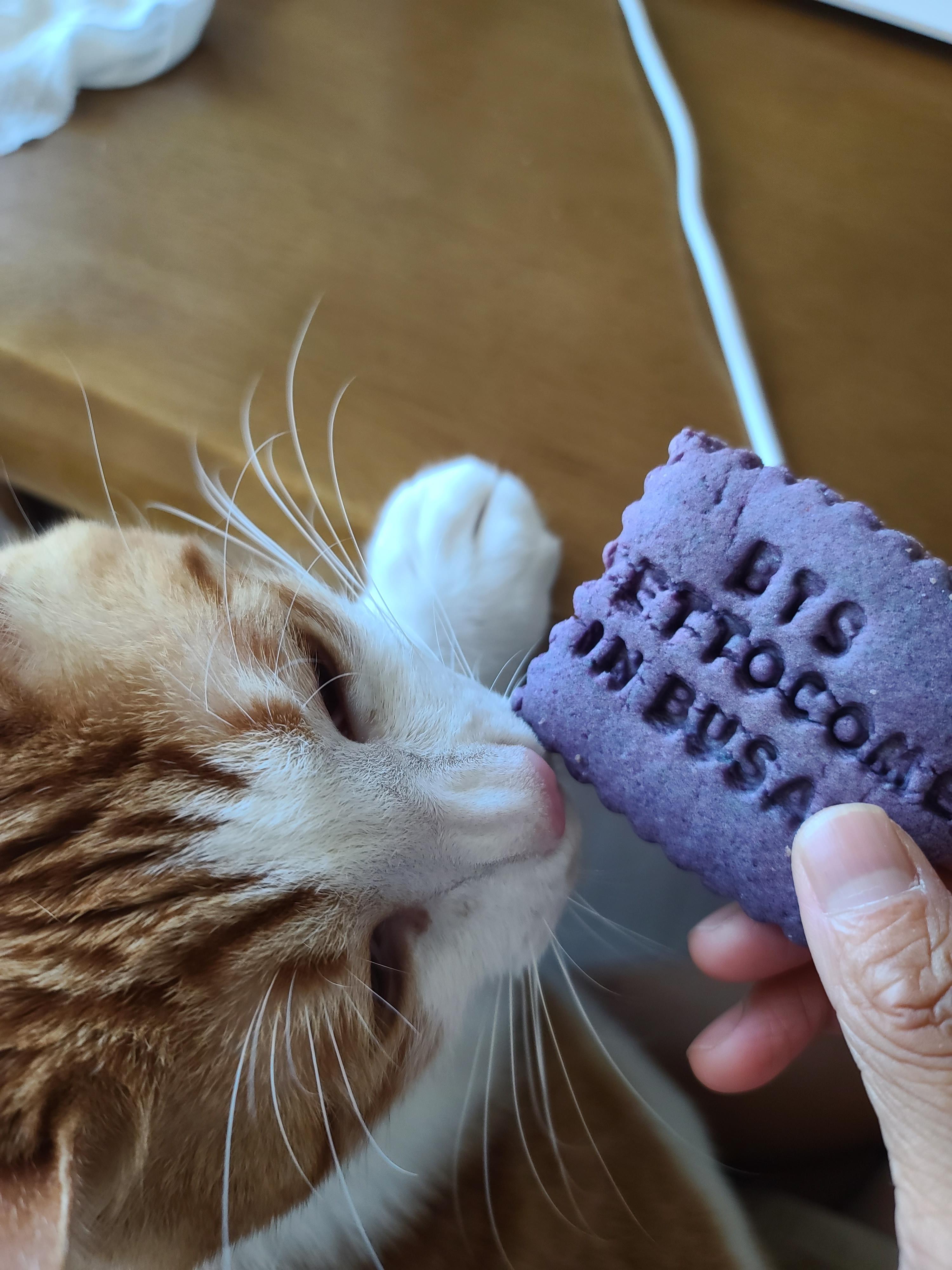 엄마손에 있는건 다 내꺼! 오랜만인 엄마랑의 오붓한 시간에 칭얼칭얼.