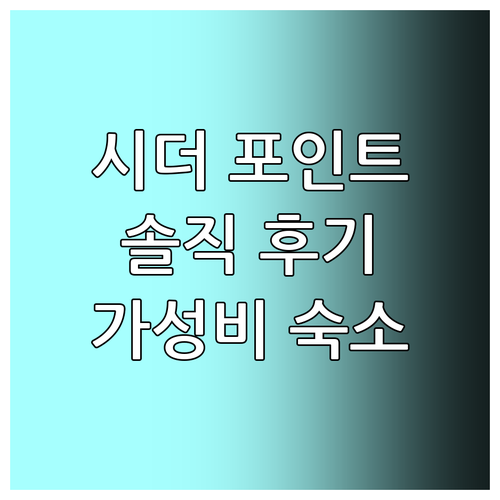 노스캐롤라이나 시더 포인트 호텔 추천..