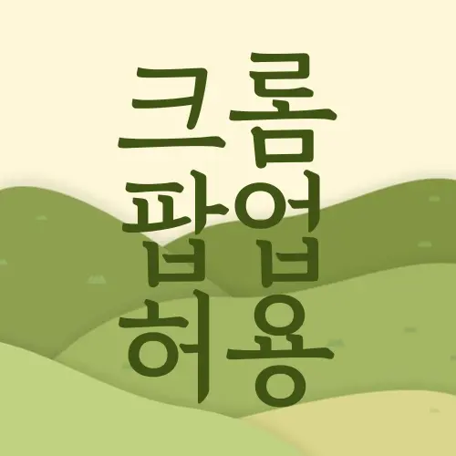 크롬 팝업 허용