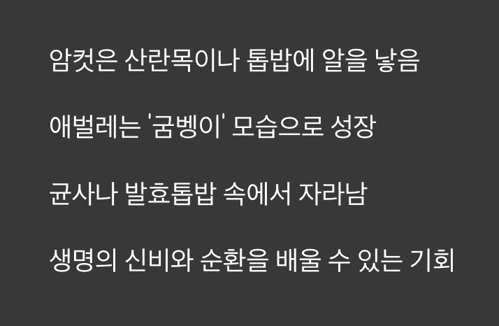 2세의 탄생, '산란'과 '애벌레' 관리