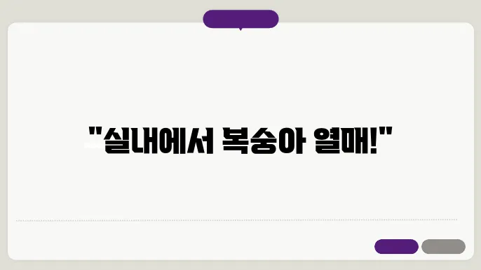 실내에서 복숭아나무 키우기 방법