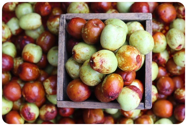 대추의 건강 효능