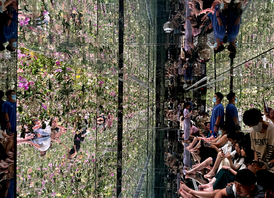 팀랩플래닛 관람 꽃과 나와 하나의 뿌리, 정원은 나와 하나의 몸