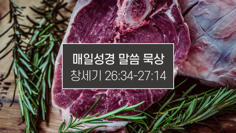 썸네일-생고기-덩어리