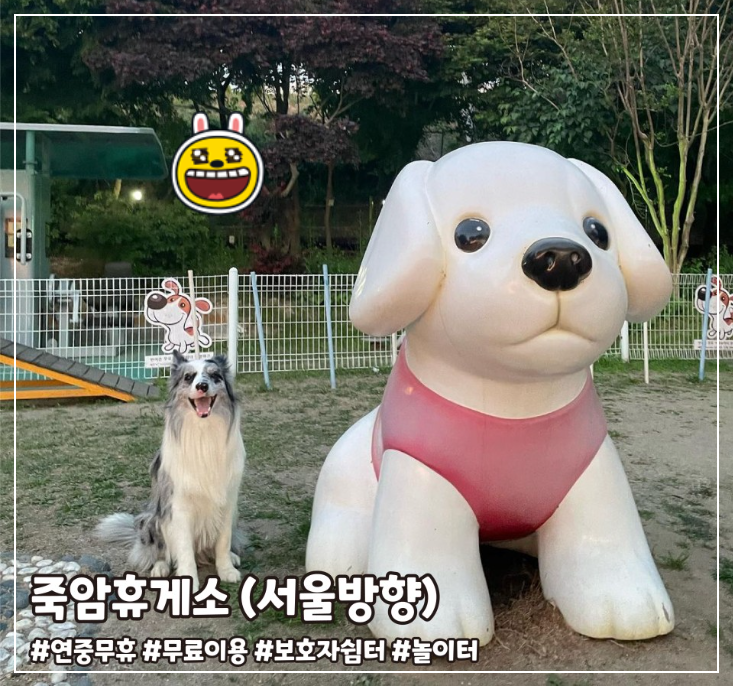 반려견휴게소