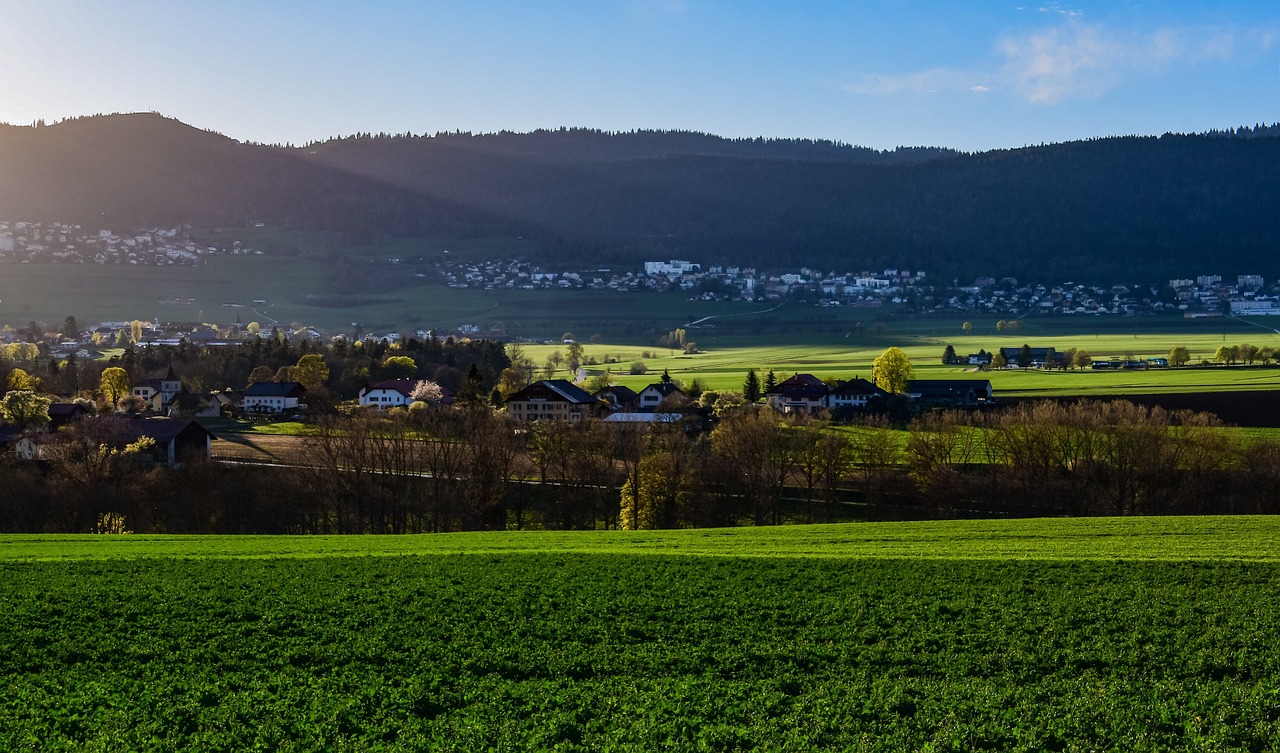 도심과 농촌의 알레르기,먼지,통풍 질병 차이 관련된 사진