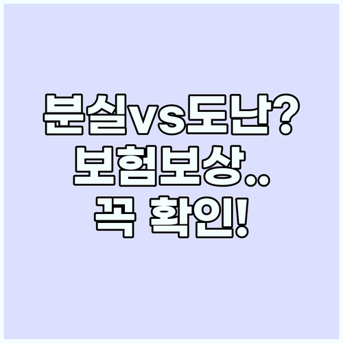 소지품 분실과 도난의 차이 및 여행자..