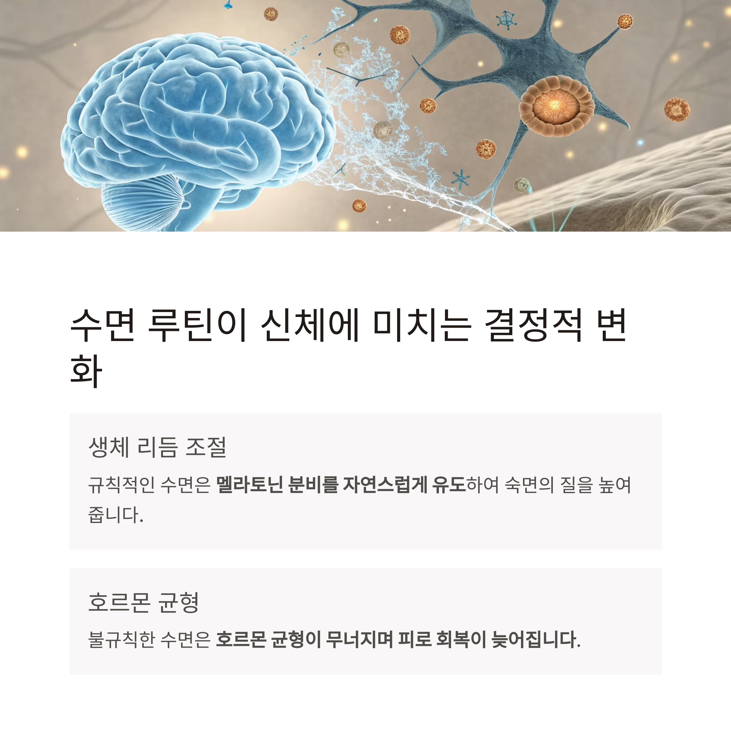 수면루틴