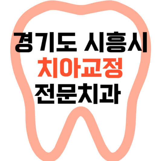 경기도 시흥시 치아교정 치과 잘하는 곳 전문 치과 추천 가격 비용.png