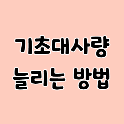 기초대사량 늘리는 방법