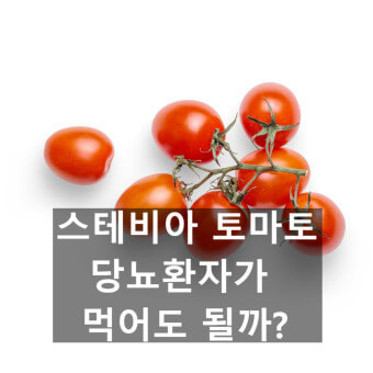 스테비아 장점과 우려점