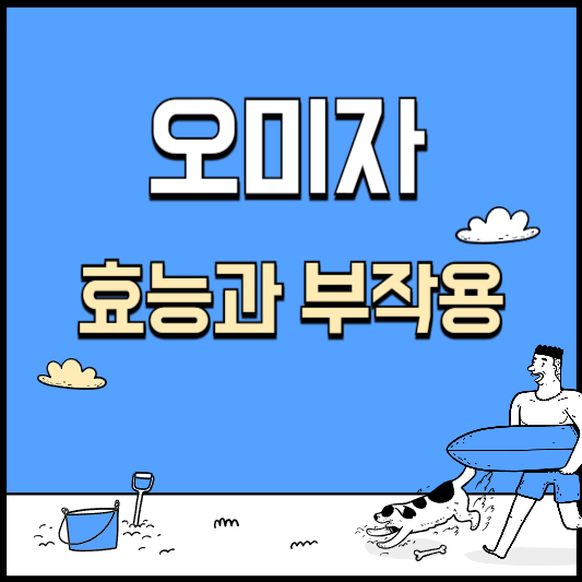 오미자 효능 부작용