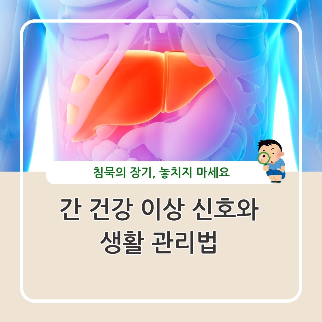 간 건강 이상 신호와 원인, 생활 관리법 정리