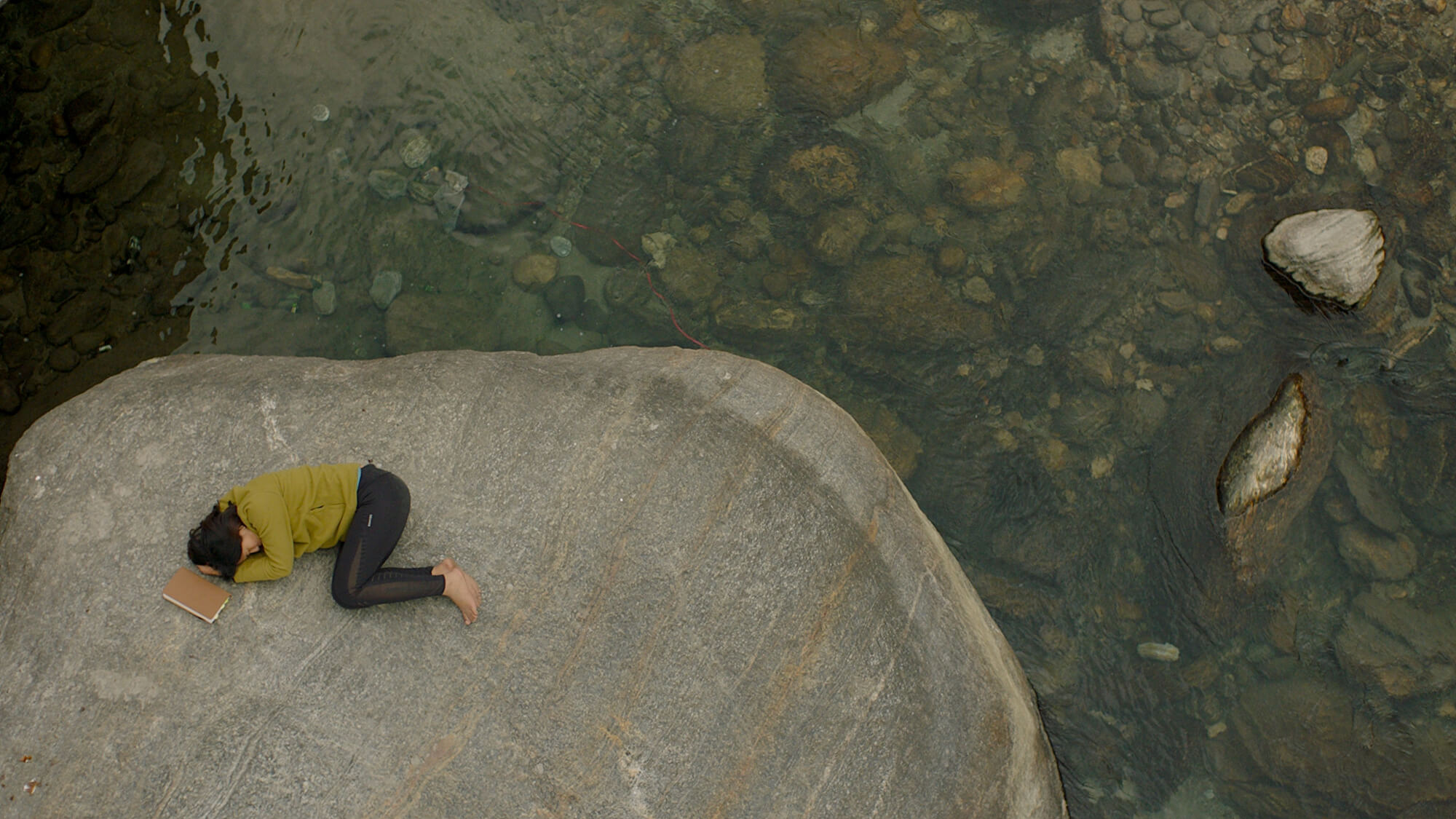 부산국제영화제