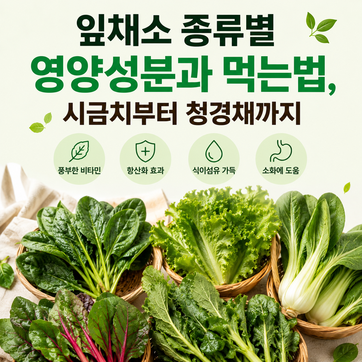 잎채소 종류별 영양성분과 먹는법