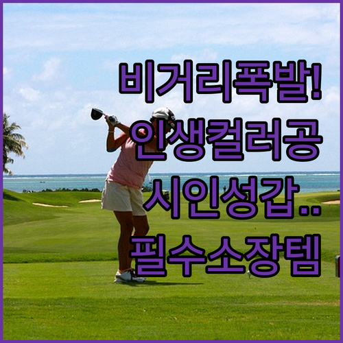 비거리 향상과 시인성 확보에 탁월한 ..