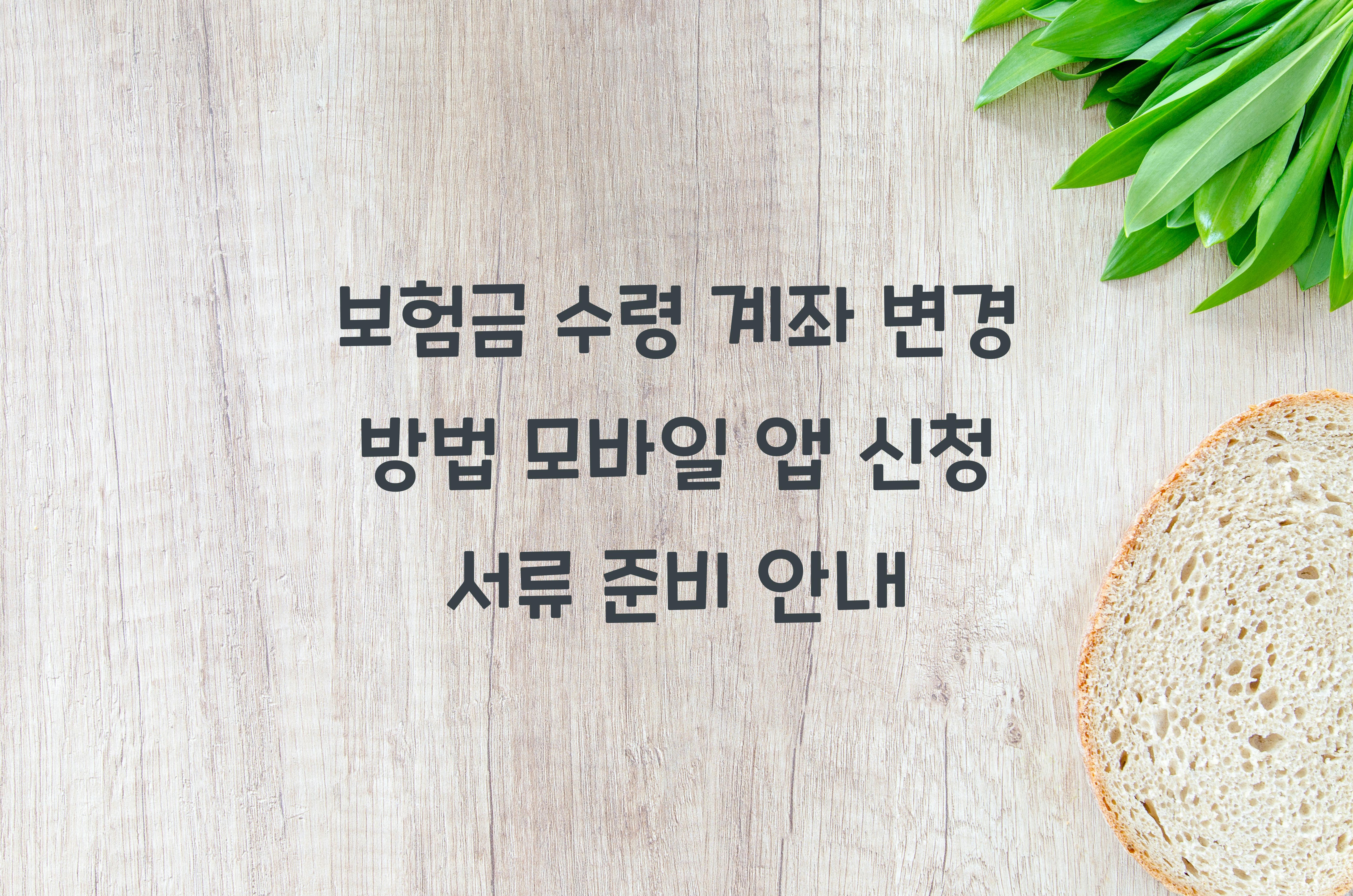 보험금 수령 계좌 변경 방법