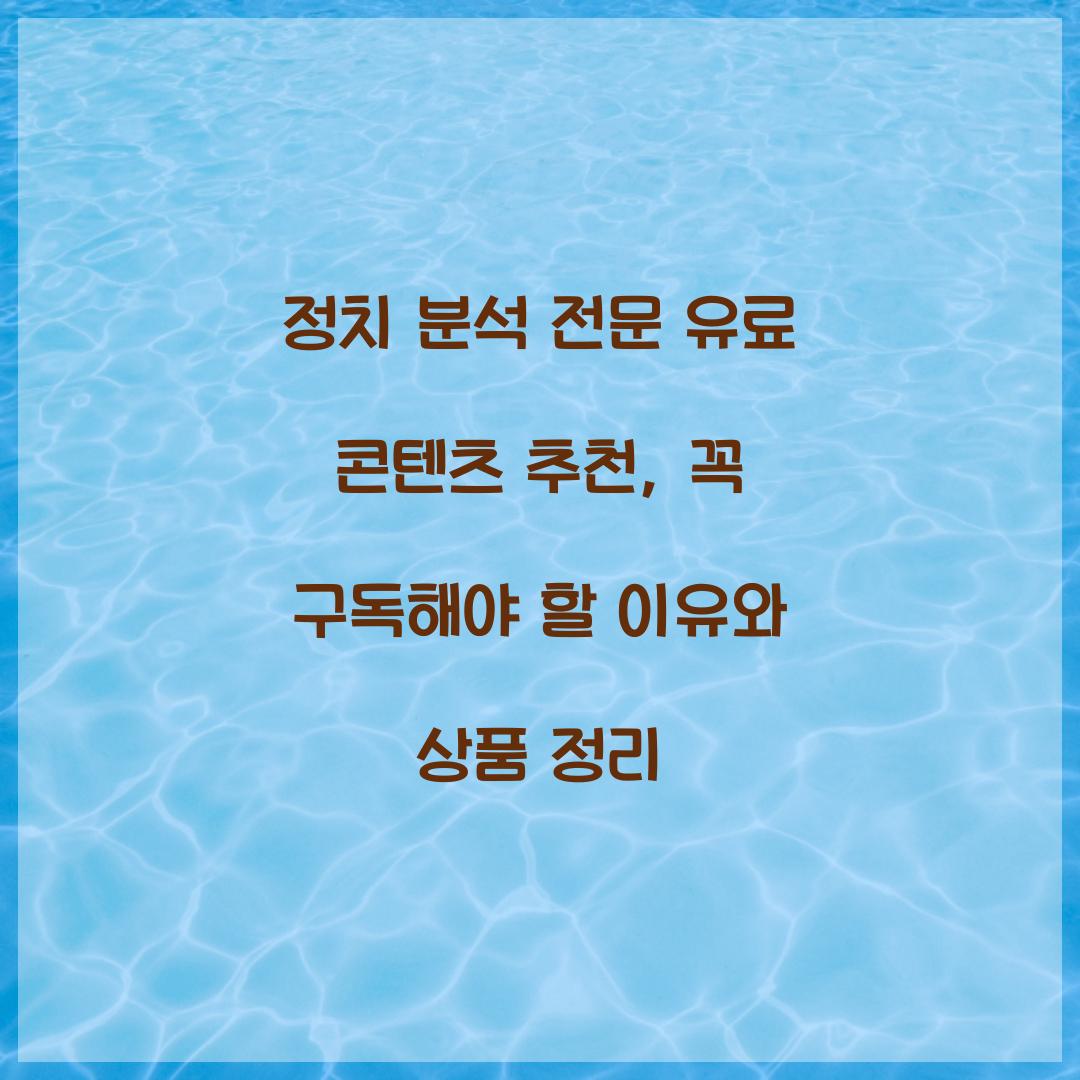 정치 분석 전문 유료 콘텐츠 추천
