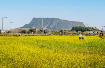 제주도 가볼만한곳 10곳 여행지 모음_9