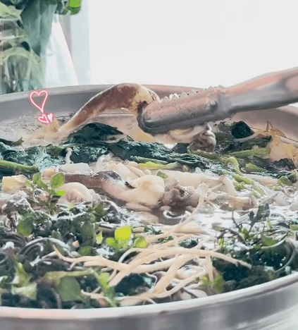 남당리 새조개 축제