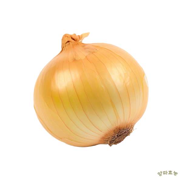 양파 효능│ 양파의 효능 알고 드세요!